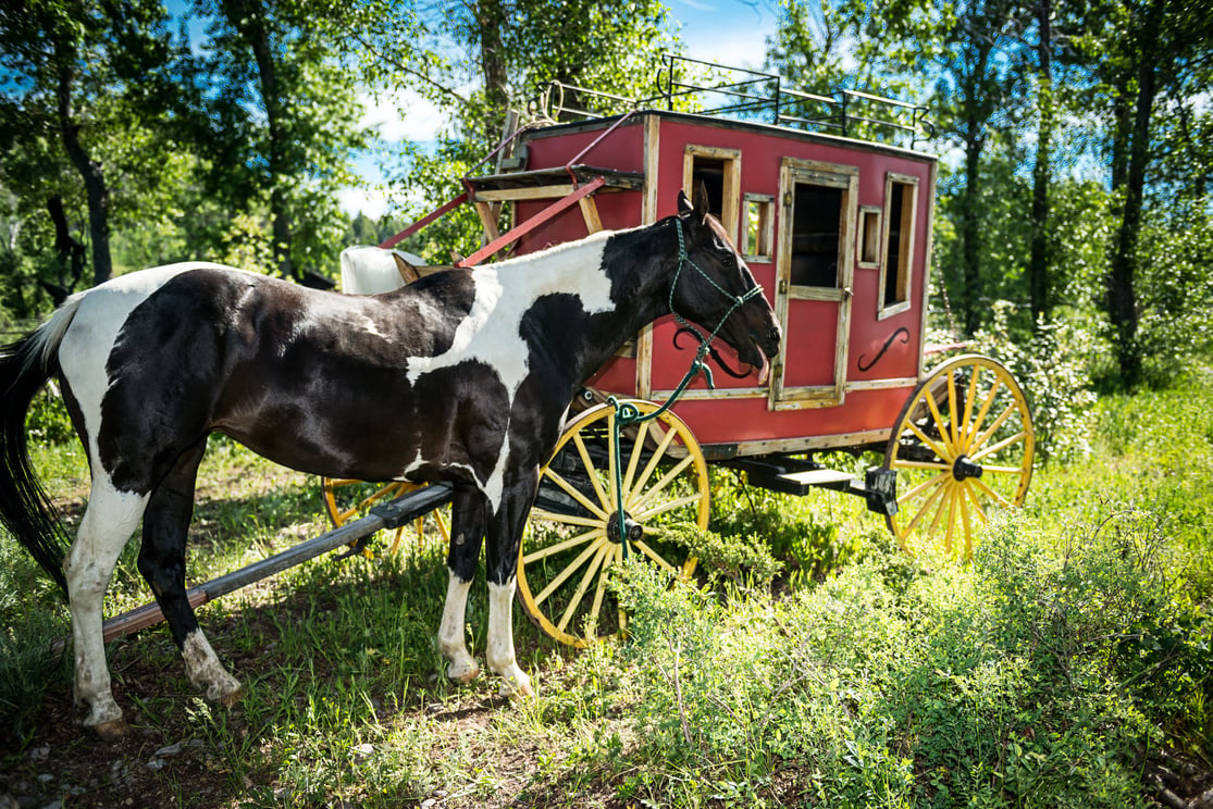 Horse and Stagecoach