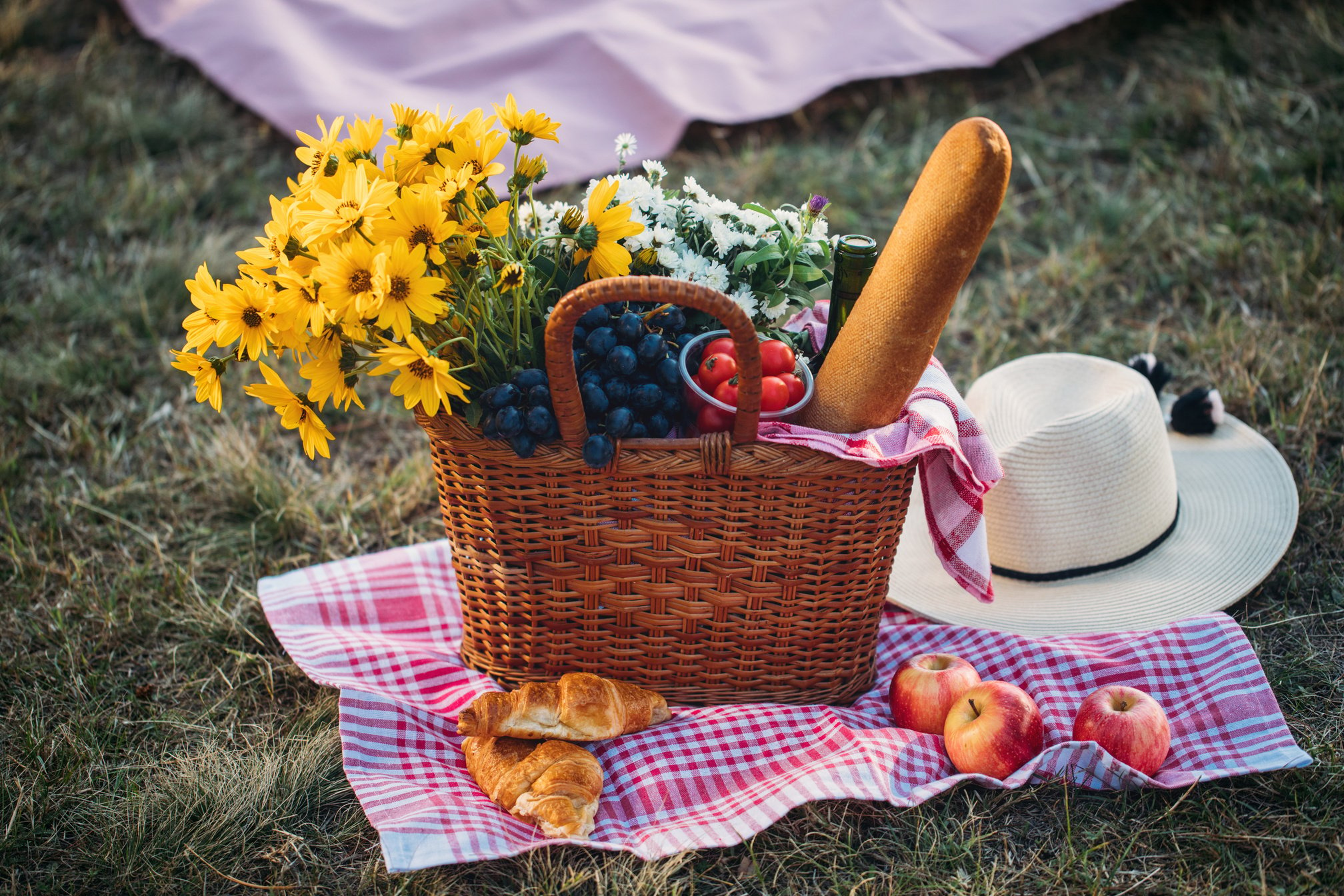 Picnic basket